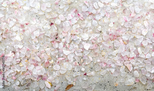 Scattered soft pink and white flower petals textured floral background
