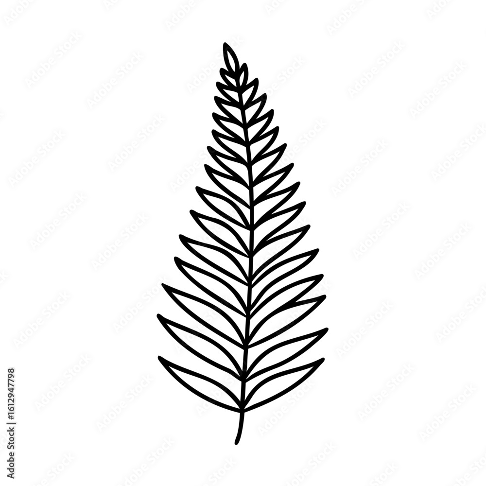 Delicate black fern frond outline leaf plant Delicate black fern frond outline leaf plant
