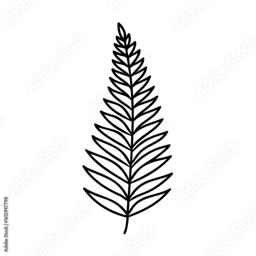 Delicate black fern frond outline leaf plant