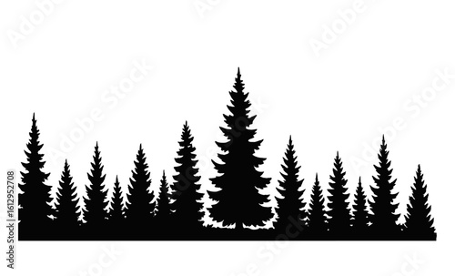 Dark forest silhouette: mysterious pine trees under starlit night sky
