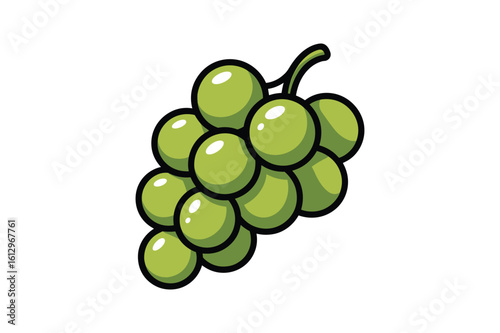 Green grapes bunch with stem fruit