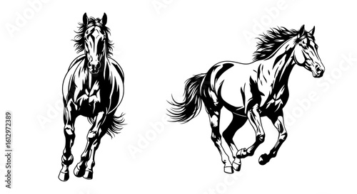 Two black and white illustrations of horses, one standing still and the other in a running pose.
