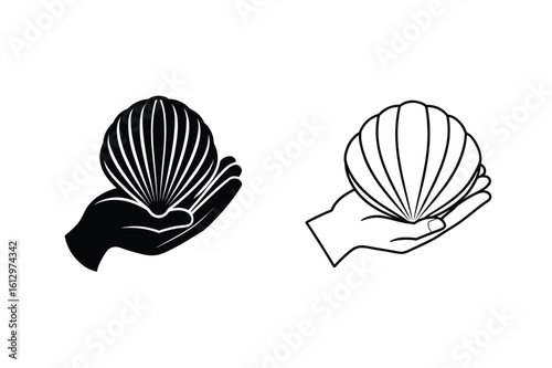 Hand holding scallop shell seashell
