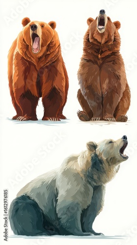 Three different bears in various poses showcasing their physical characteristics and expressions