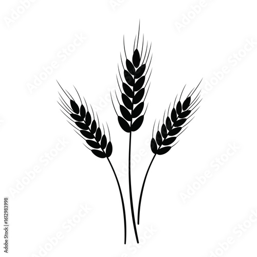 Three Wheat Stalks Silhouette Isolated on White Background for Graphic Design