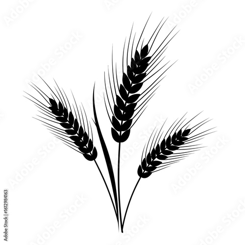 Black Wheat Stalks Illustration on White Background for Agriculture and Harvest Concepts