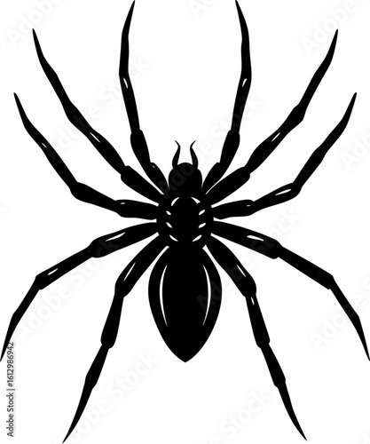 spider on a white background, Spider vector, spider black silhouette vector, Creepy black spider with spiky legs isolated on white background, vector