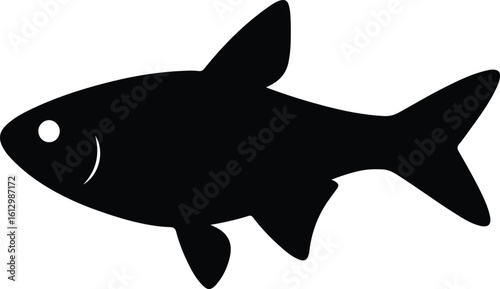 Silhouette tetra fish aquatic pet swimming wildlife vector illustrator