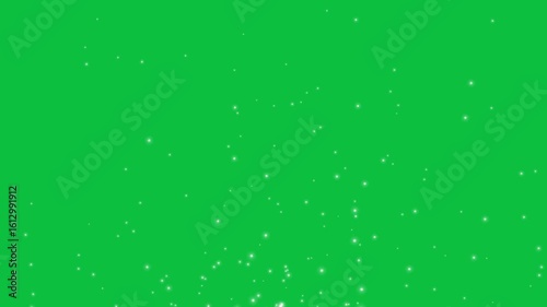 Raising glitter particles on green screen background motion graphic effects. 
