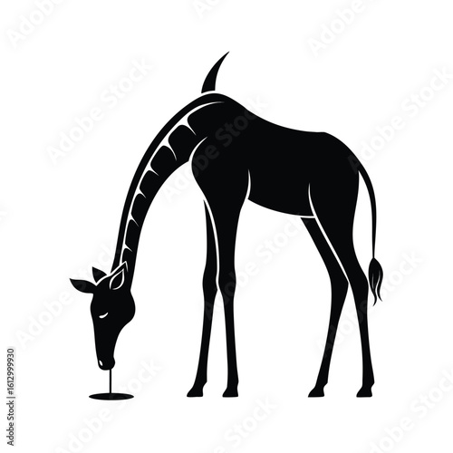 Elegant black silhouette of a giraffe bending down to drink water from a natural source
