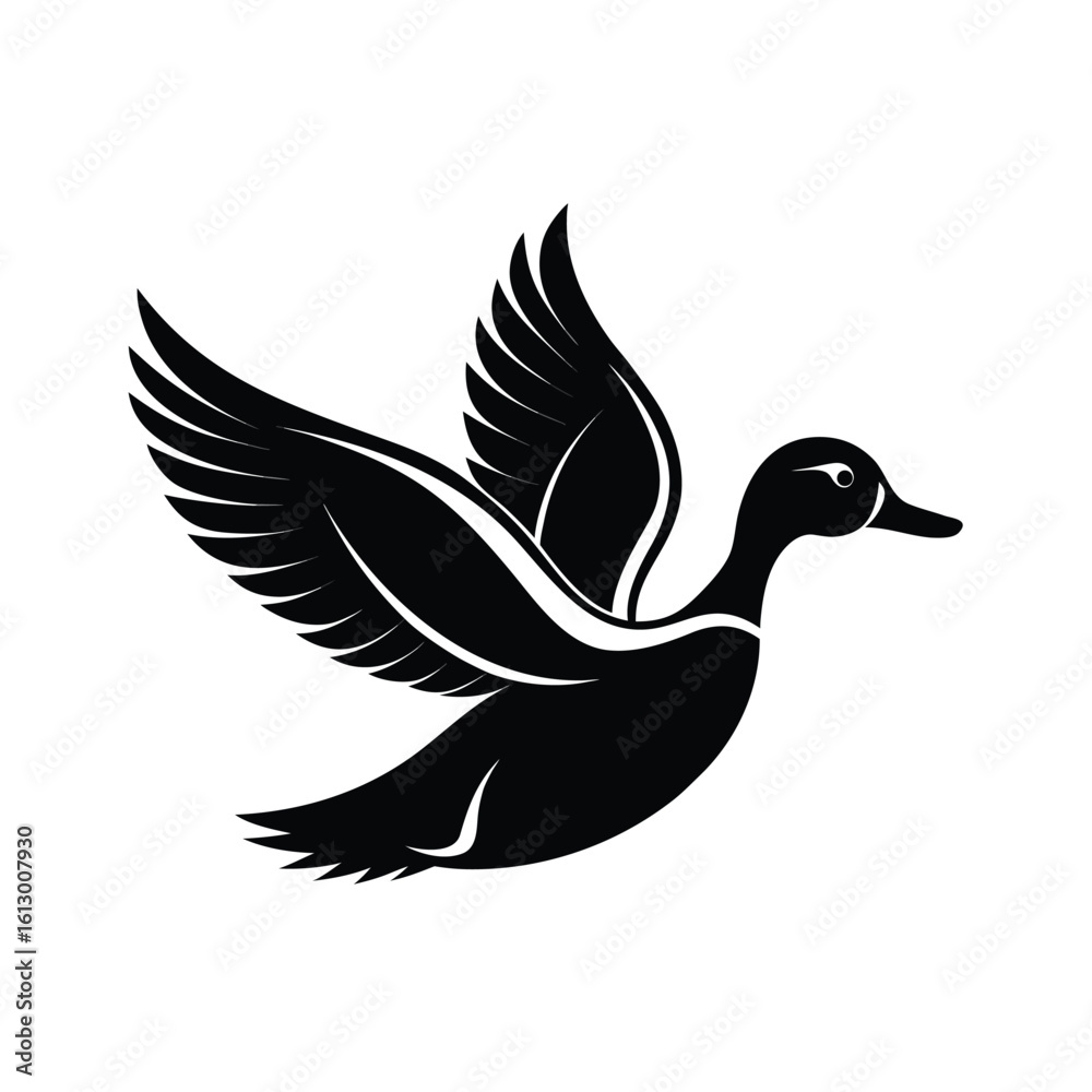 Fototapeta premium Black silhouette of a male duck in mid flight against a clean white background