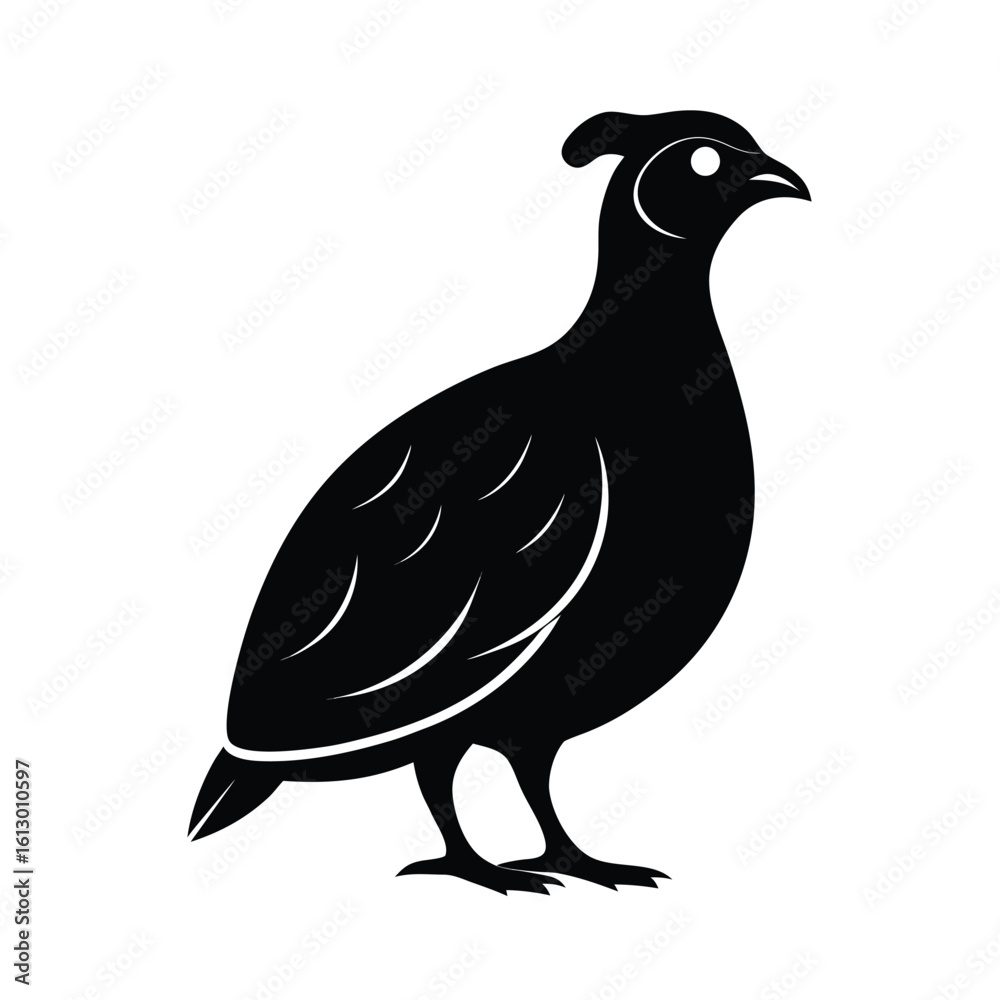 Fototapeta premium Elegant black silhouette of a partridge bird resting on the ground