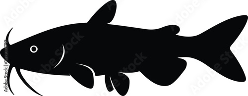 Silhouette catfish swimming icon freshwater aquatic wildlife vector illustrator