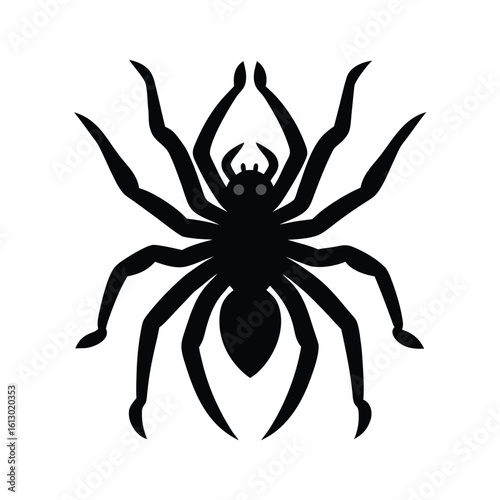 Intimidating tarantula spider in defensive stance black silhouette vector graphic