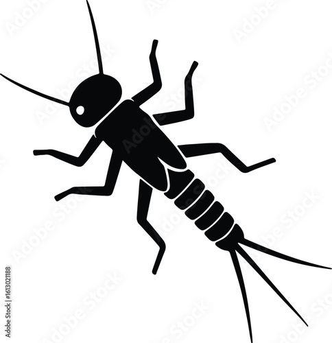Silhouette Mayfly insect design black and white vector illustrator
