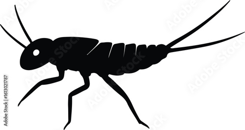 Silhouette Mayfly insect isolated on white background vector illustrator
