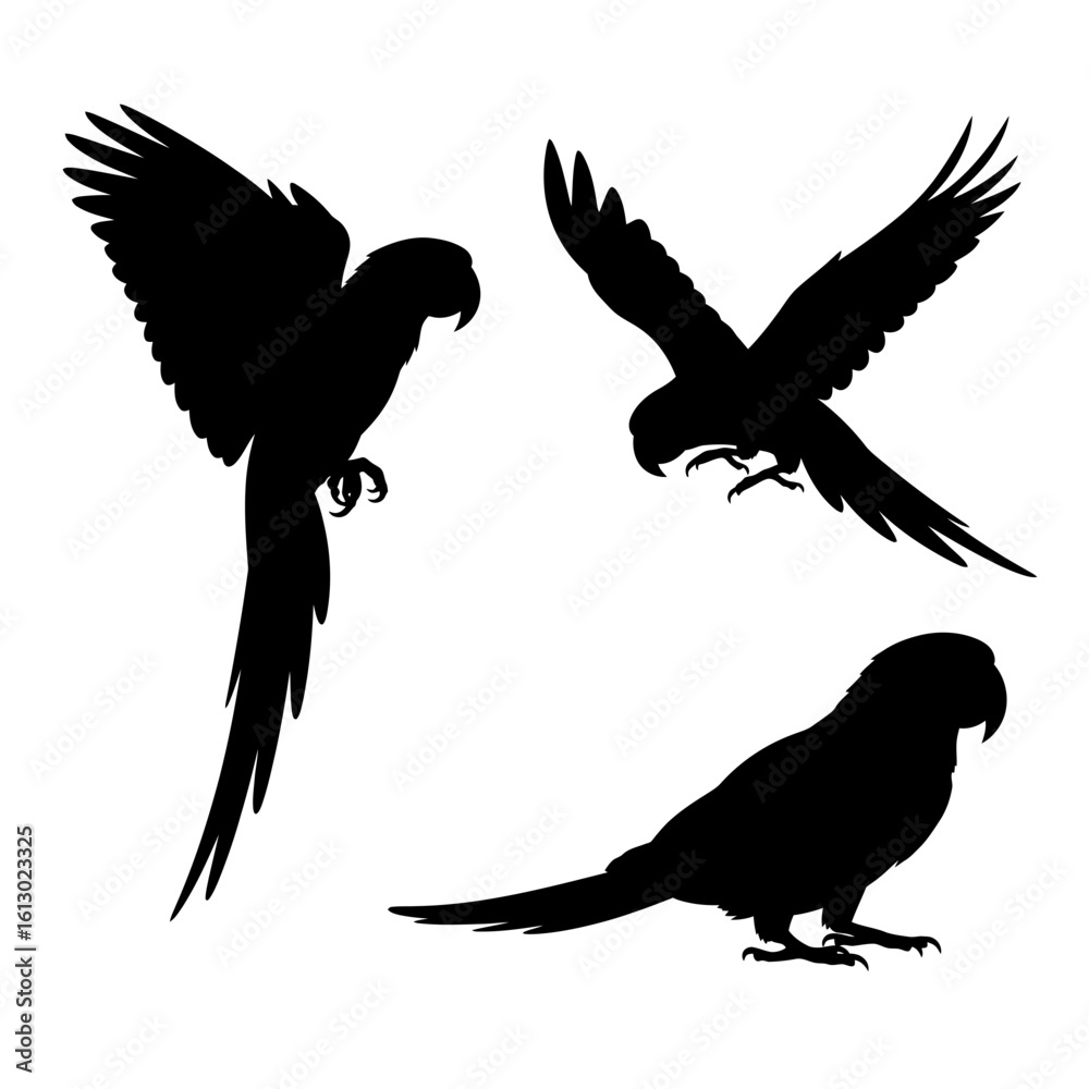 Obraz premium Three Silhouettes of Parrots in Flight and Rest
