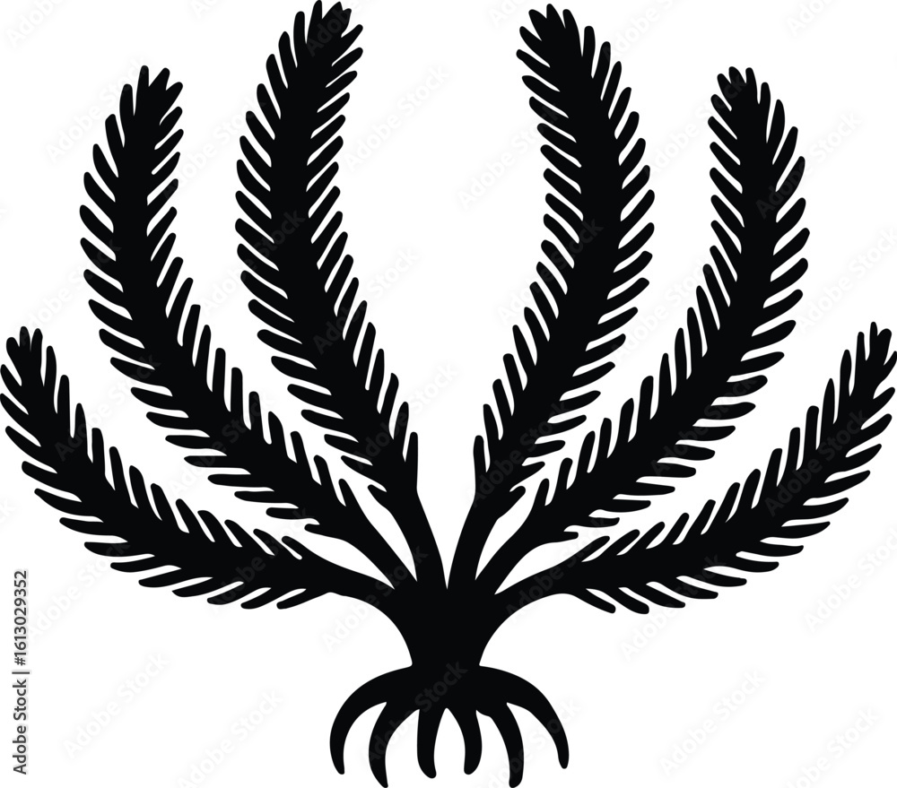 Obraz premium Silhouette seaweed sea plant marine life vector illustrator