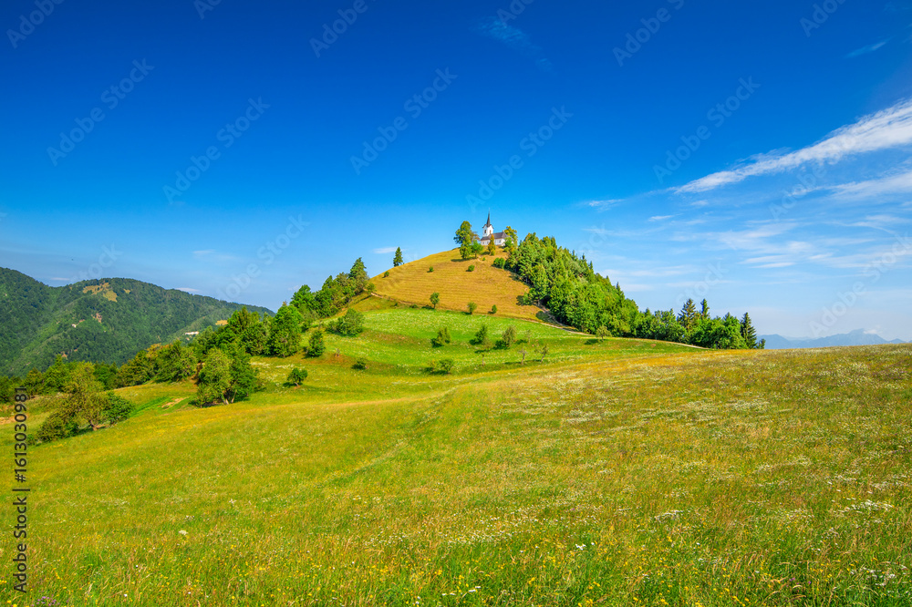Obraz premium summer landscape in the mountains