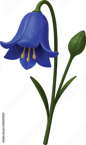 Bluebell with Bud and Stem
