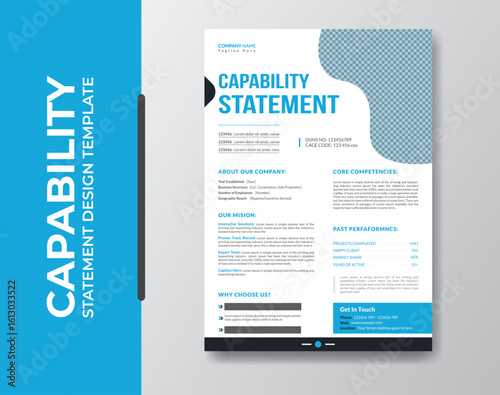 Professional Capability Statement Template