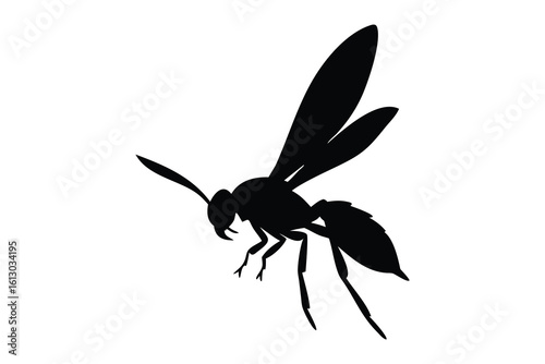 A detailed black silhouette of a wasp with wings spread and legs extended isolated on white background silhouette