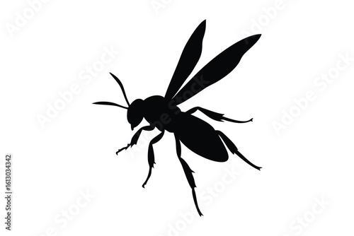 Black silhouette of a flying wasp with detailed wings and legs isolated on white background silhouette