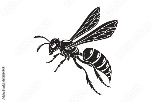Detailed black silhouette of a flying wasp with intricate wing patterns isolated on white background