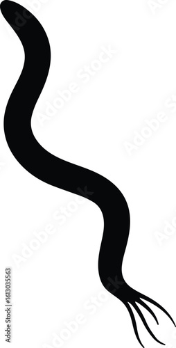 Silhouette worm parasite vector illustration