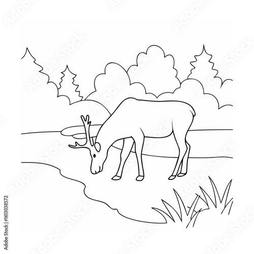 Deer drinking water near trees and bushes nature forest