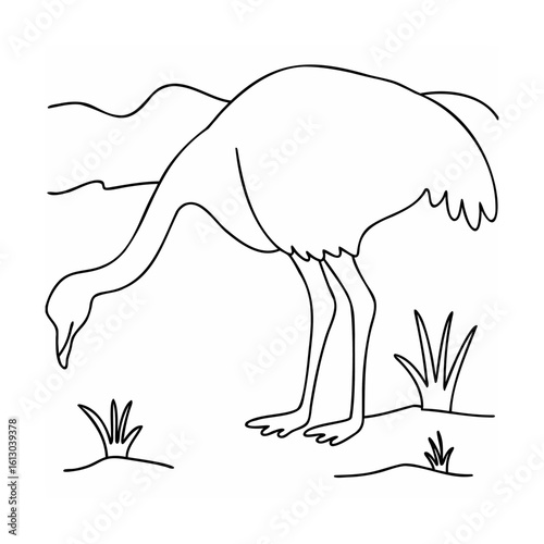 Ostrich bending to eat grass in a landscape bird animal