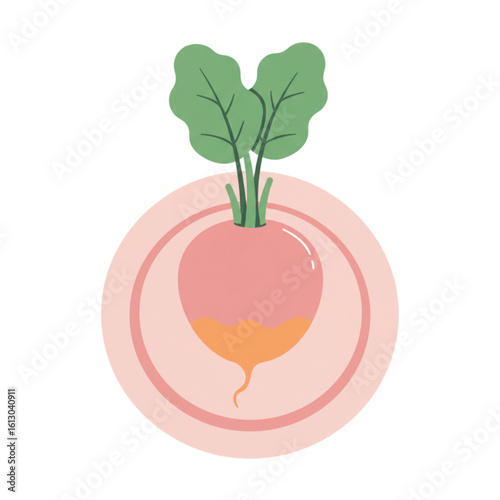 Oktoberfest radish plate icon transparent background