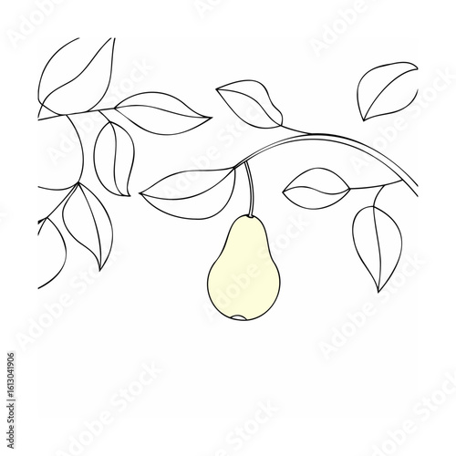 Single pear hanging on a branch with leaves fruit nature