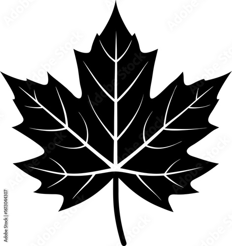 leaf silhouette vector, One sycamore leaf silhouette vector flat illustration design on white background.