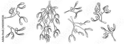 Christmas botanical mistletoe branches. Hand drawn holiday illustration with leaves and berries. Black and white vintage ink drawing. Vector image for frames, borders and New Year's themed decoration.