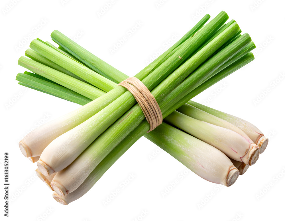 Bundle of fresh green lemongrass stalks tied with elastic band on isolated white background Bundle of fresh green lemongrass stalks tied with elastic band on isolated white background