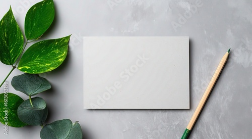 Blank Postcard Mockup Top View Grey Background with Pencil Green Leaf, Web Banner Copy Space Design Template