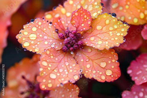 red flower with dew drops