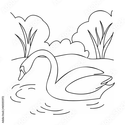 Graceful swan swimming in calm water with reeds nature