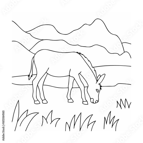 Donkey grazing in a grassy field with rolling hills