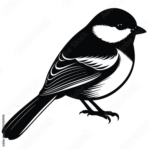 blue tit on white background