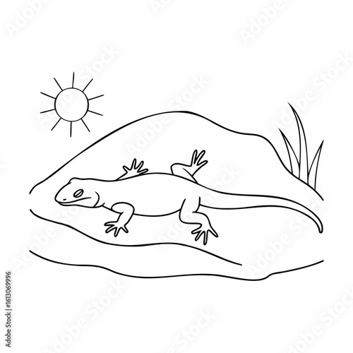 Lizard basking under the sun on a rocky outcrop reptile