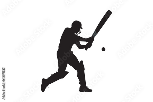 Silhouette of a cricket batsman in action swinging the bat to hit the ball isolated on a white background showcasing the sport s dynamic movement