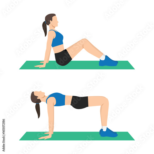 Reverse Plank Bridge Exercise. Flat vector illustration isolated on white background