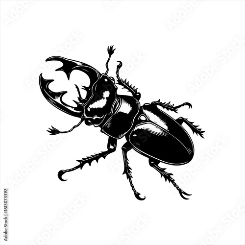 Stag beetle illustration isolated on white