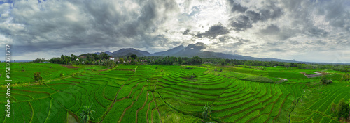 Beautiful morning view indonesia panorama landscape paddy fields with beauty color and sky natural light