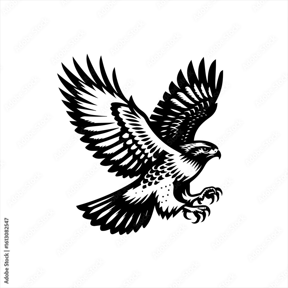 Fototapeta premium Hawk in flight isolated on white