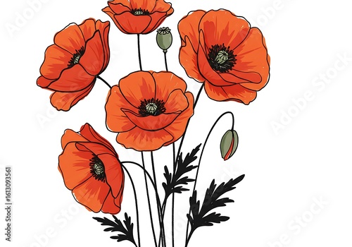 Hand Drawn Red Poppy Flower Bouquet Illustration on White Background