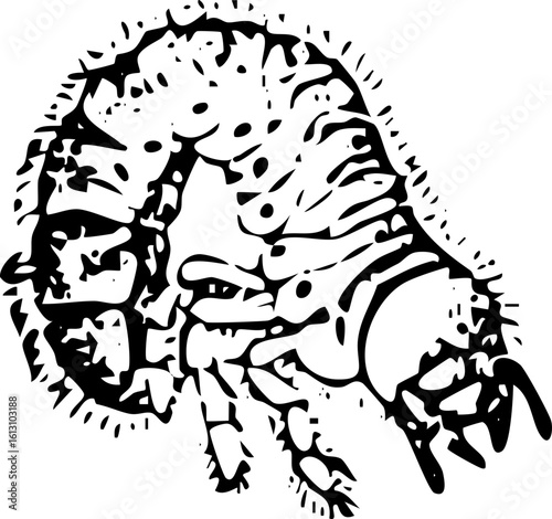 Vintage Insect Illustration