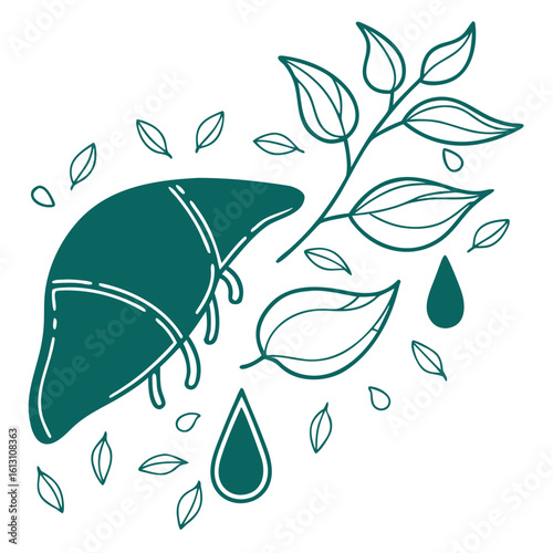 A stylized liver illustration with leaves and water droplets conveys a concept of healthy liver function and natural detoxification